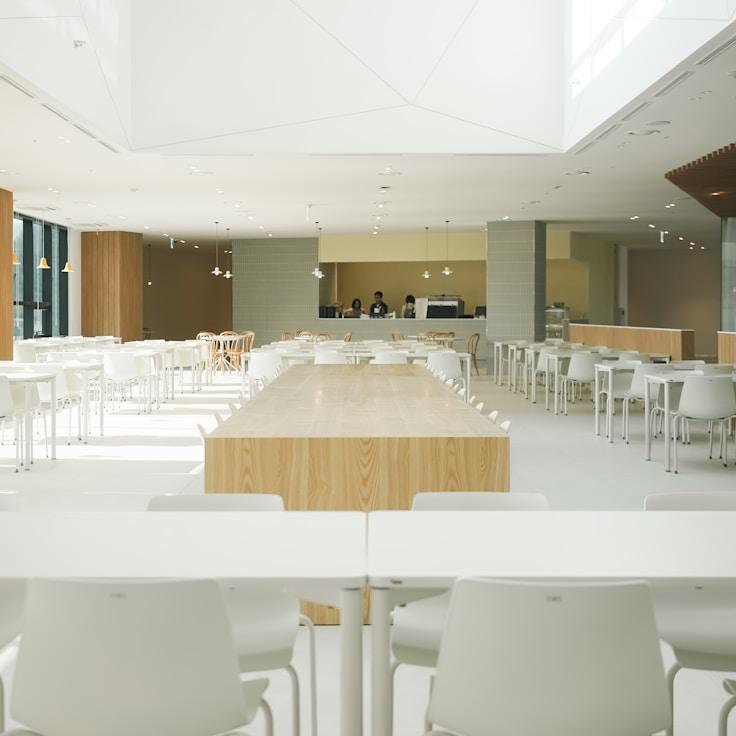 School choices for expat families in Rome, Italy